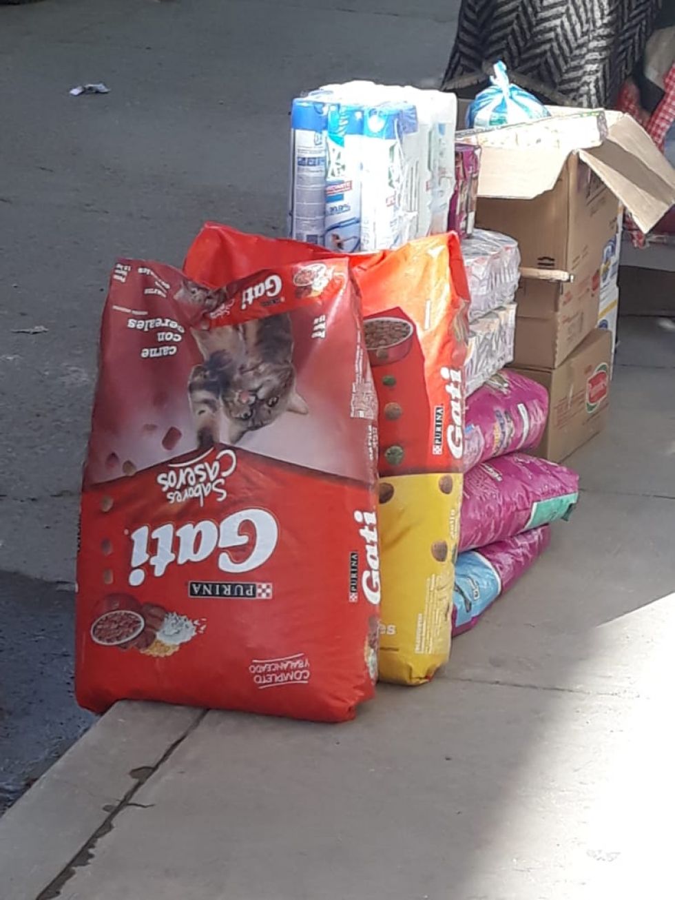 Alimentos para perros y gatos en diferentes zonas.