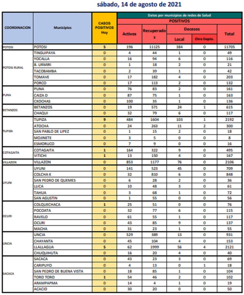 Reporte departamental del Sedes Potosí