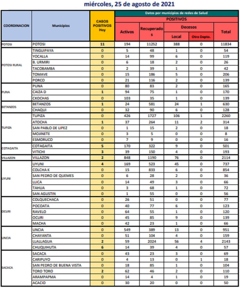 Reporte departamental del Sedes Potosí