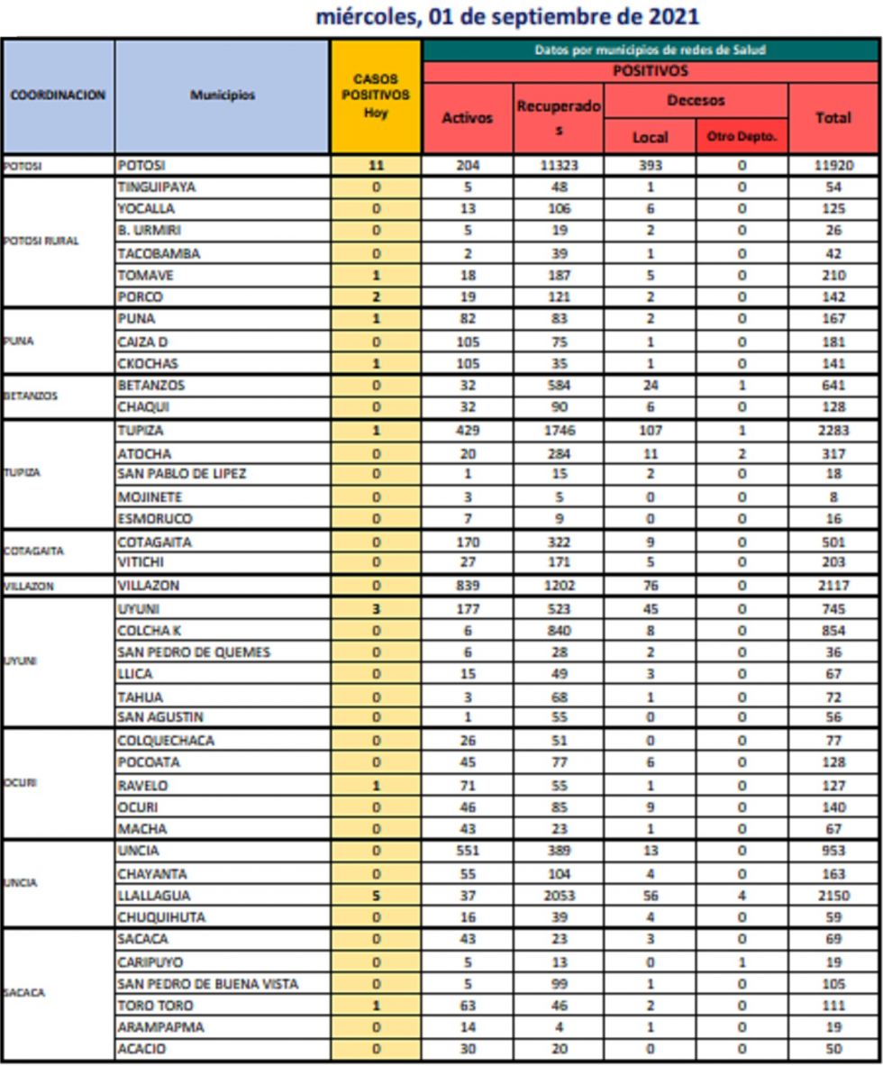 Reporte departamental del Sedes Potosí