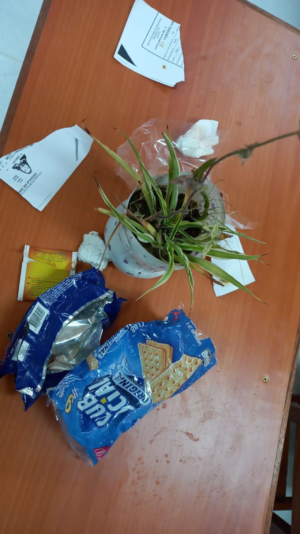 En la jornada de este lunes estaban en la escuela Divino Maestro para enseñar a los estudiantes, en cada curso, el proceso de selección de la basura 