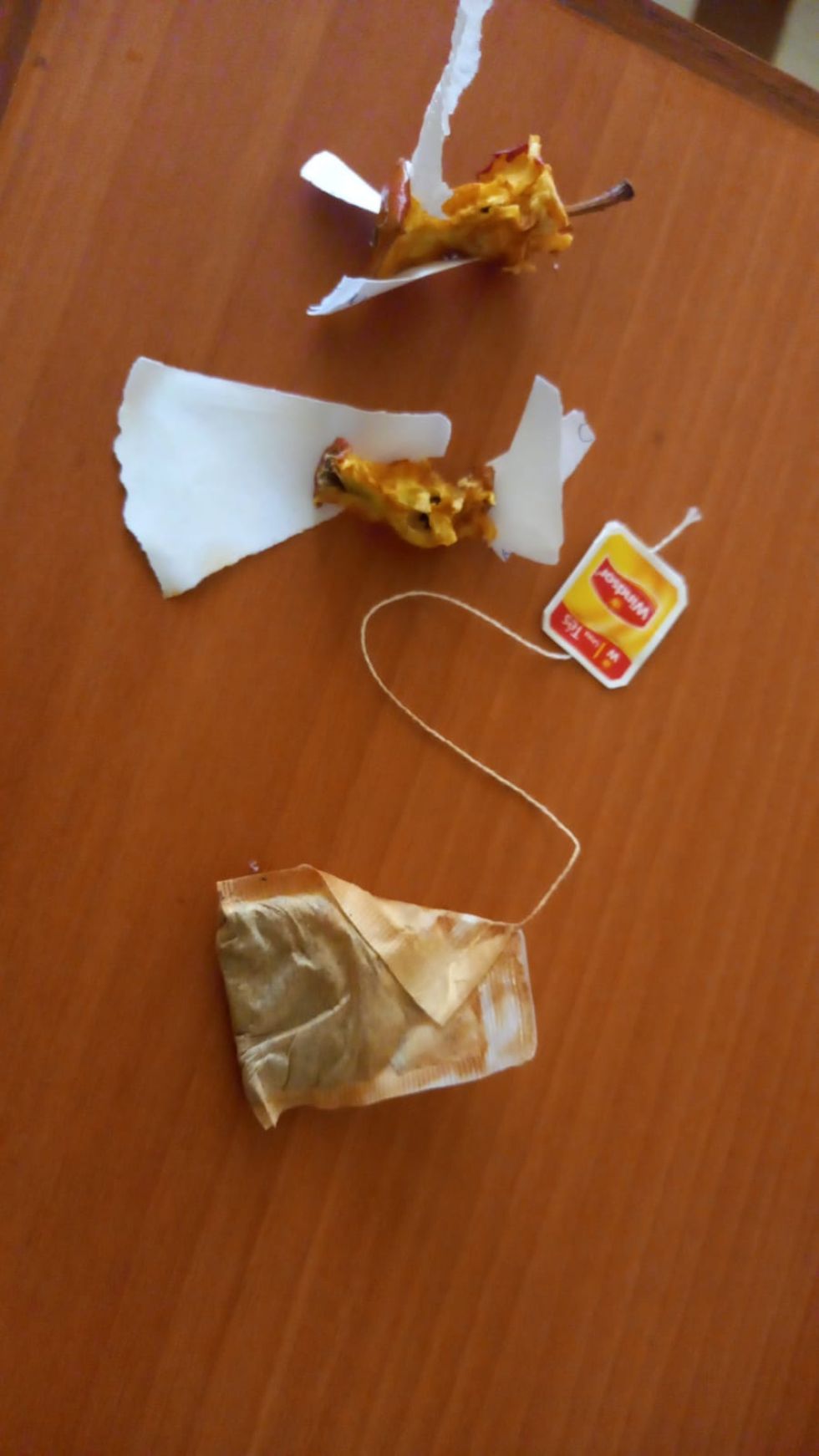En la jornada de este lunes estaban en la escuela Divino Maestro para enseñar a los estudiantes, en cada curso, el proceso de selección de la basura 