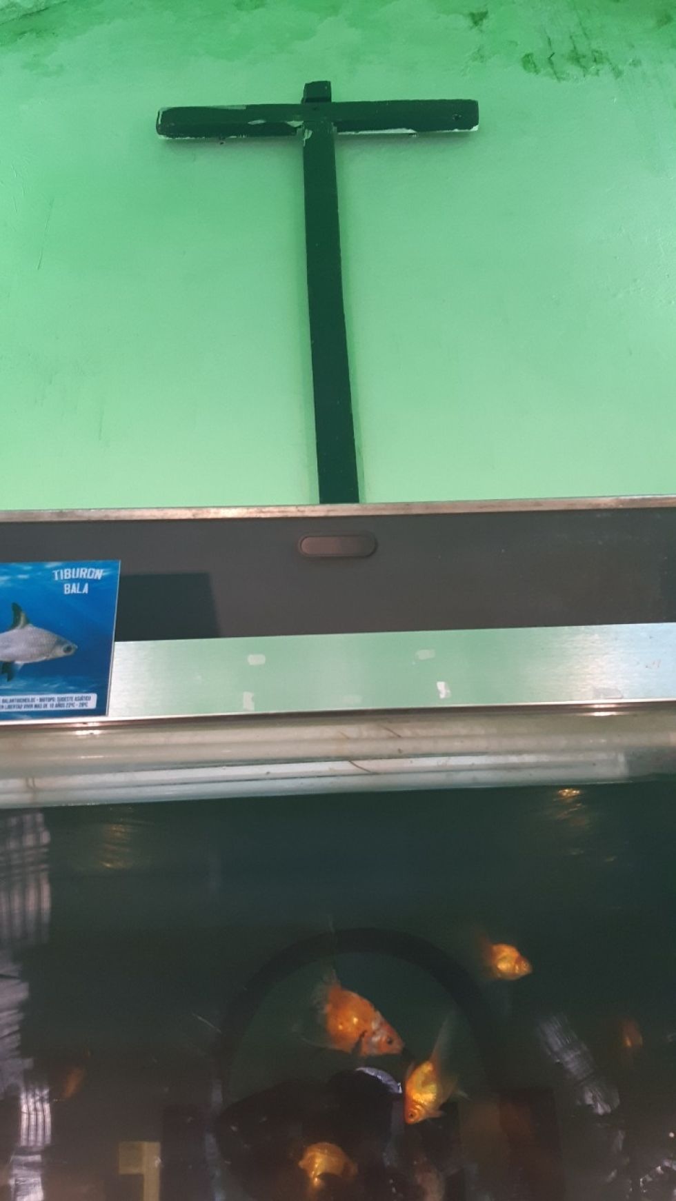 La cruz en la caja de agua de la que habla Chacón.