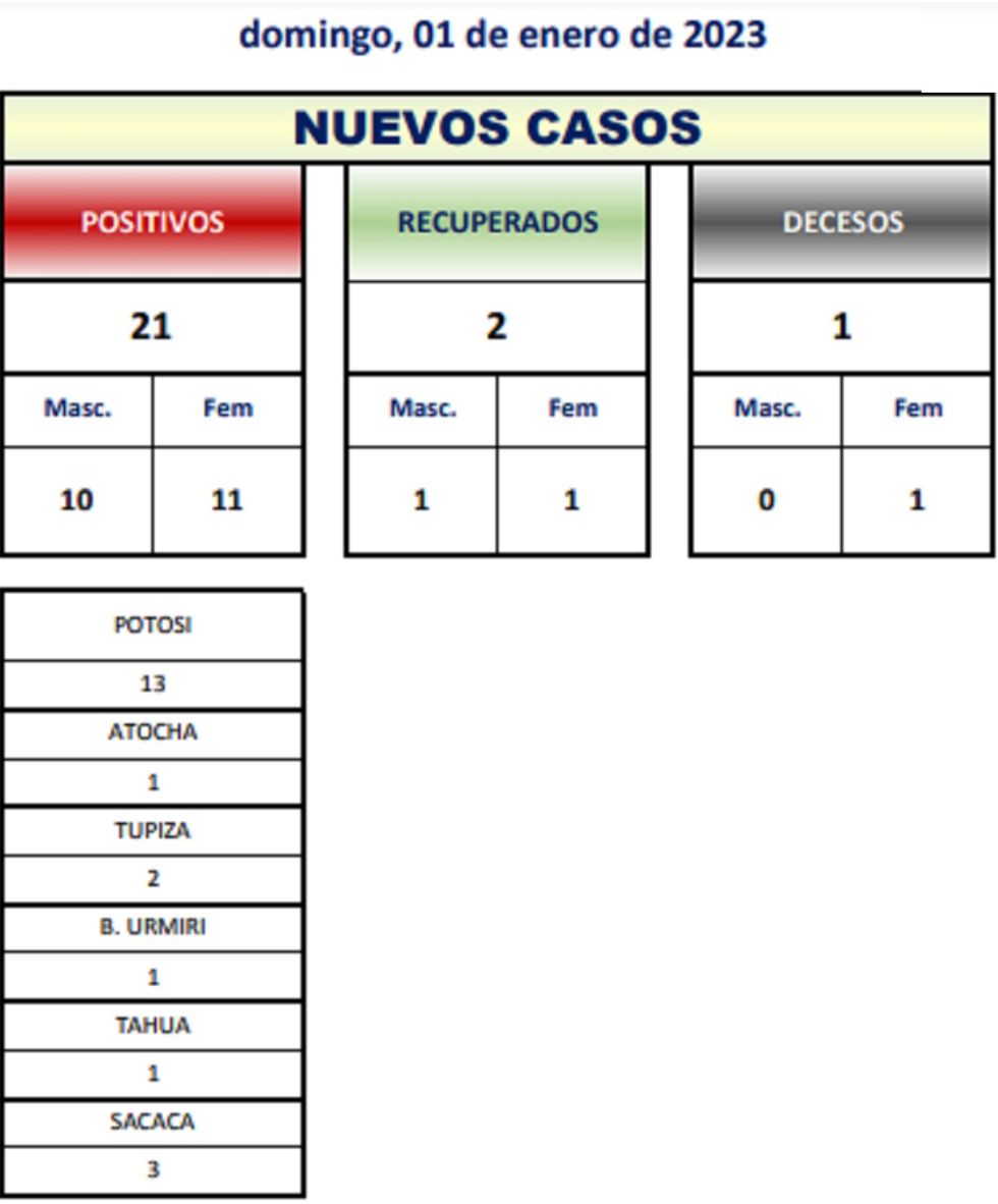 Reporte departamental del Sedes Potosí