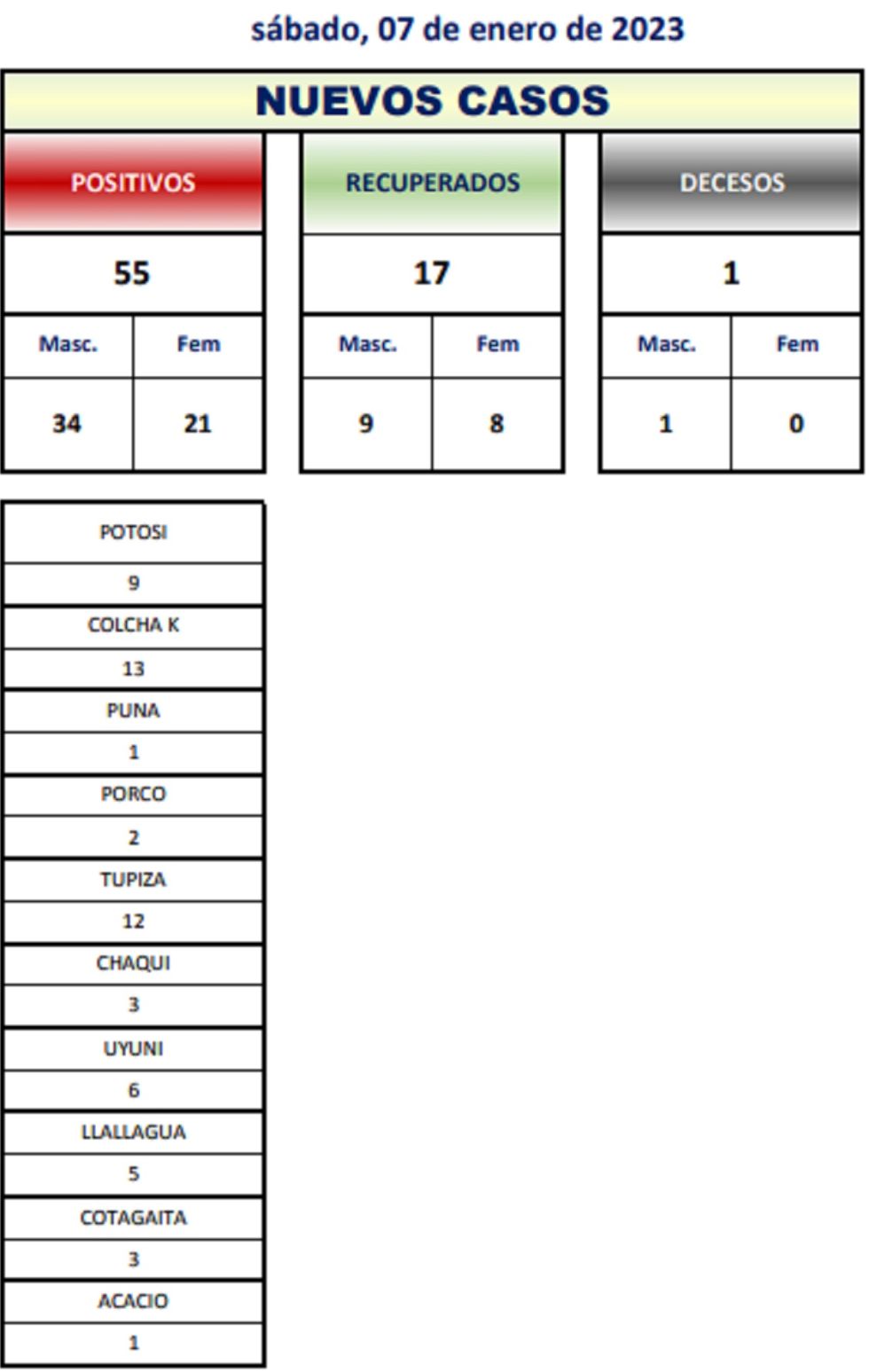 Reporte departamental del Sedes Potosí