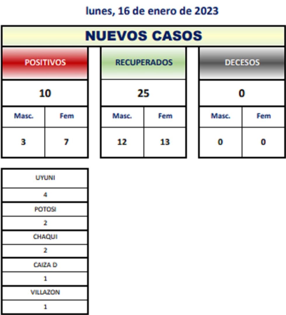 Reporte departamental del Sedes Potosí