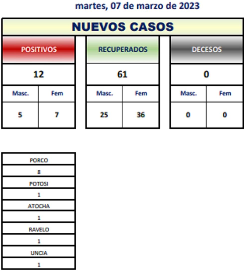 Reporte departamental del Sedes Potosí