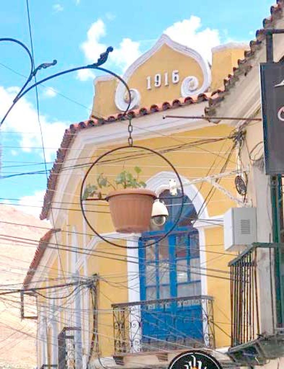 Los plantines cuelgan de las luminarias en el Pasaje Boulevard.
