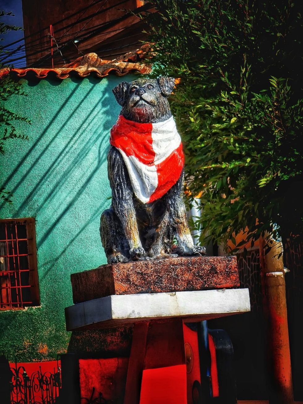 El perrito fallecido el 25 de agosto era “Petardo II”