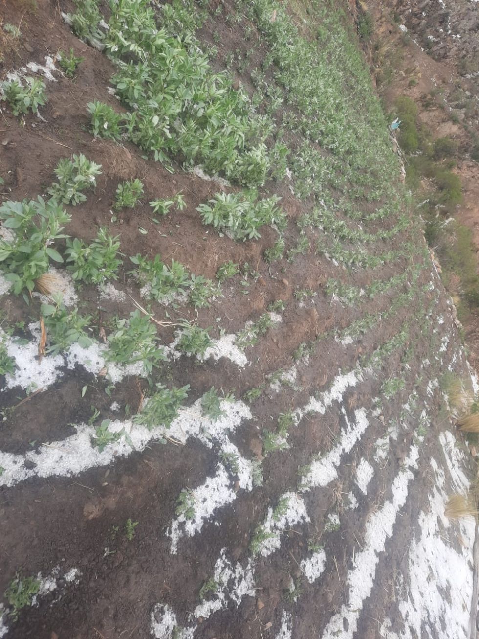 En los últimos días se presentaron granizadas en los municipios de Caiza D, San Pedro de Buena Vista, Ckochas y Acasio