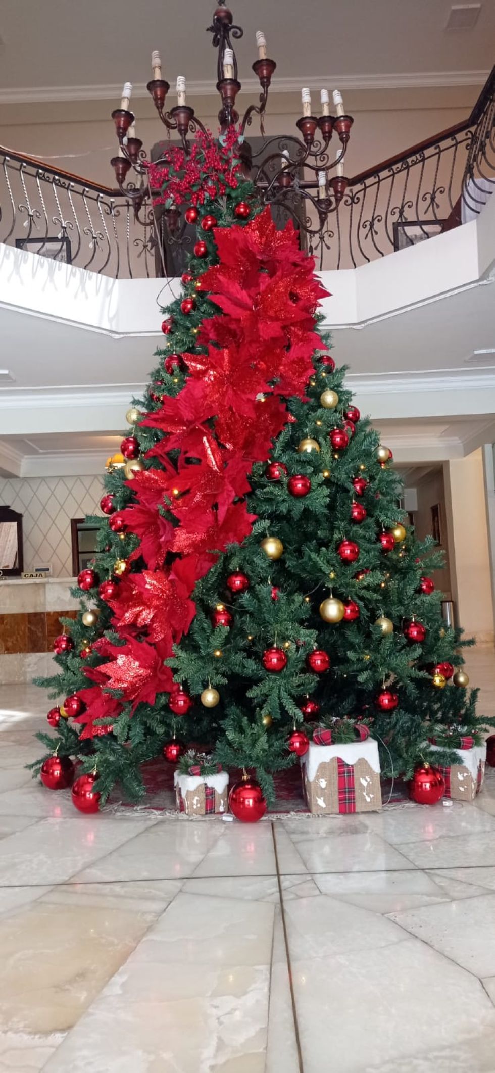 Coloso Hotel