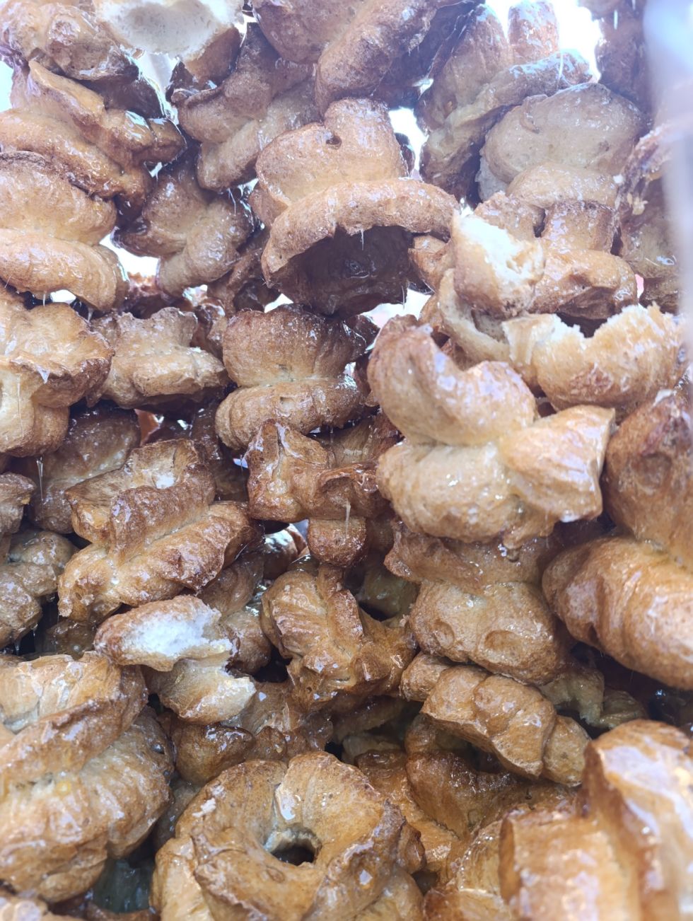 Chambergos.