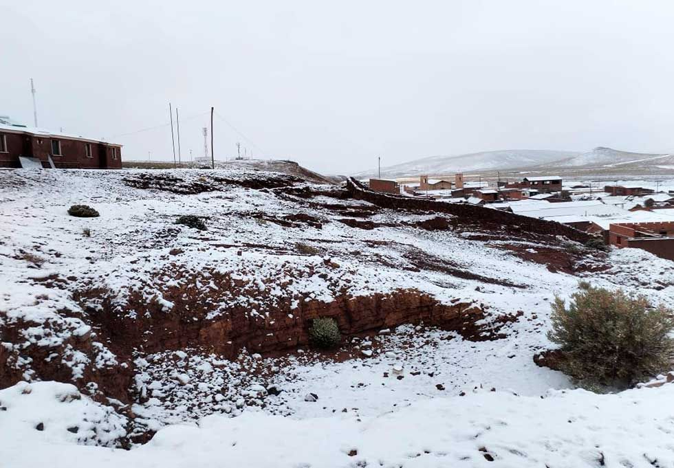 Nevada afecta producción agrícola y ganadera de 750 familias en Potosí