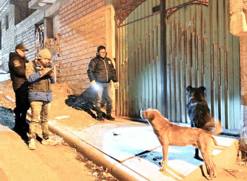 Zoonosis notifica a 280 personas por abandonar a sus mascotas