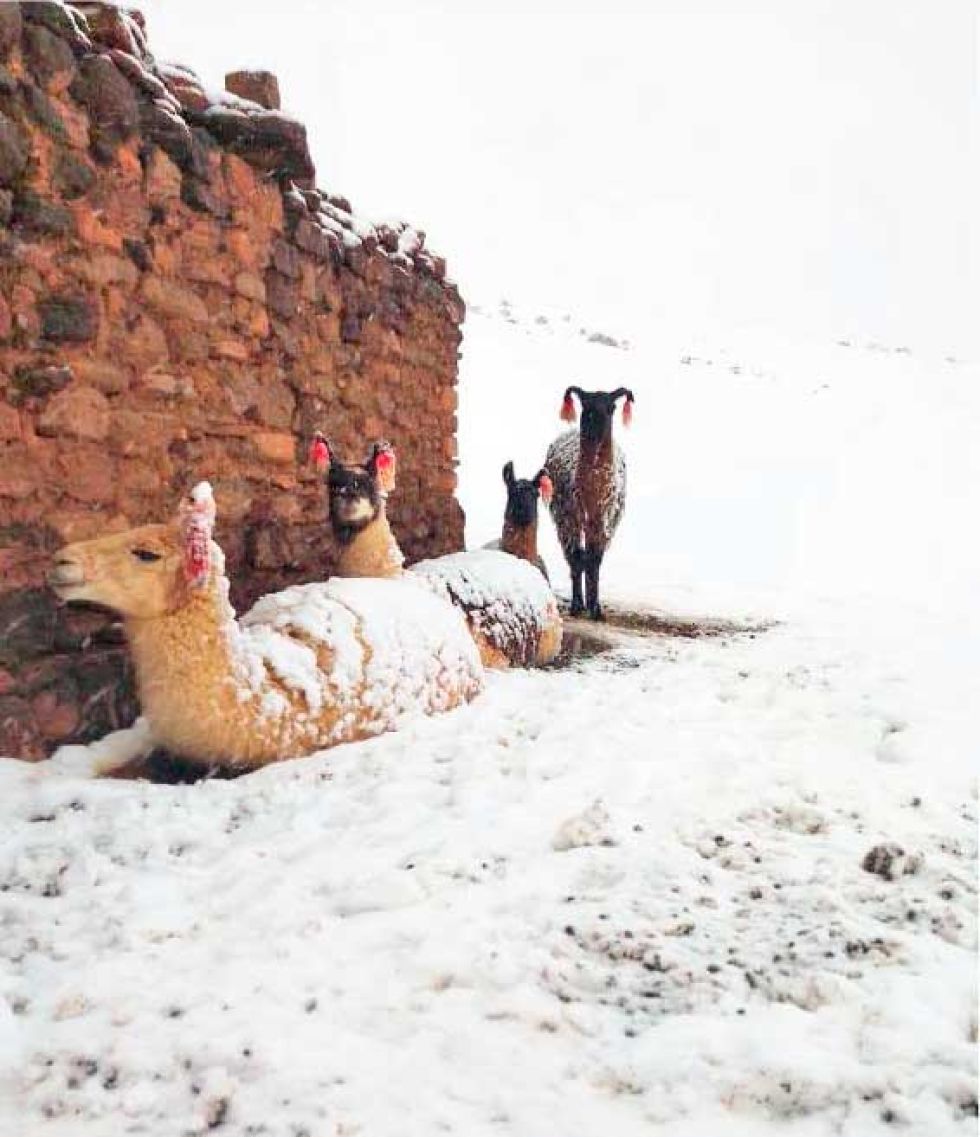 Nevadas causan daños y complican vías en al menos 6 departamentos