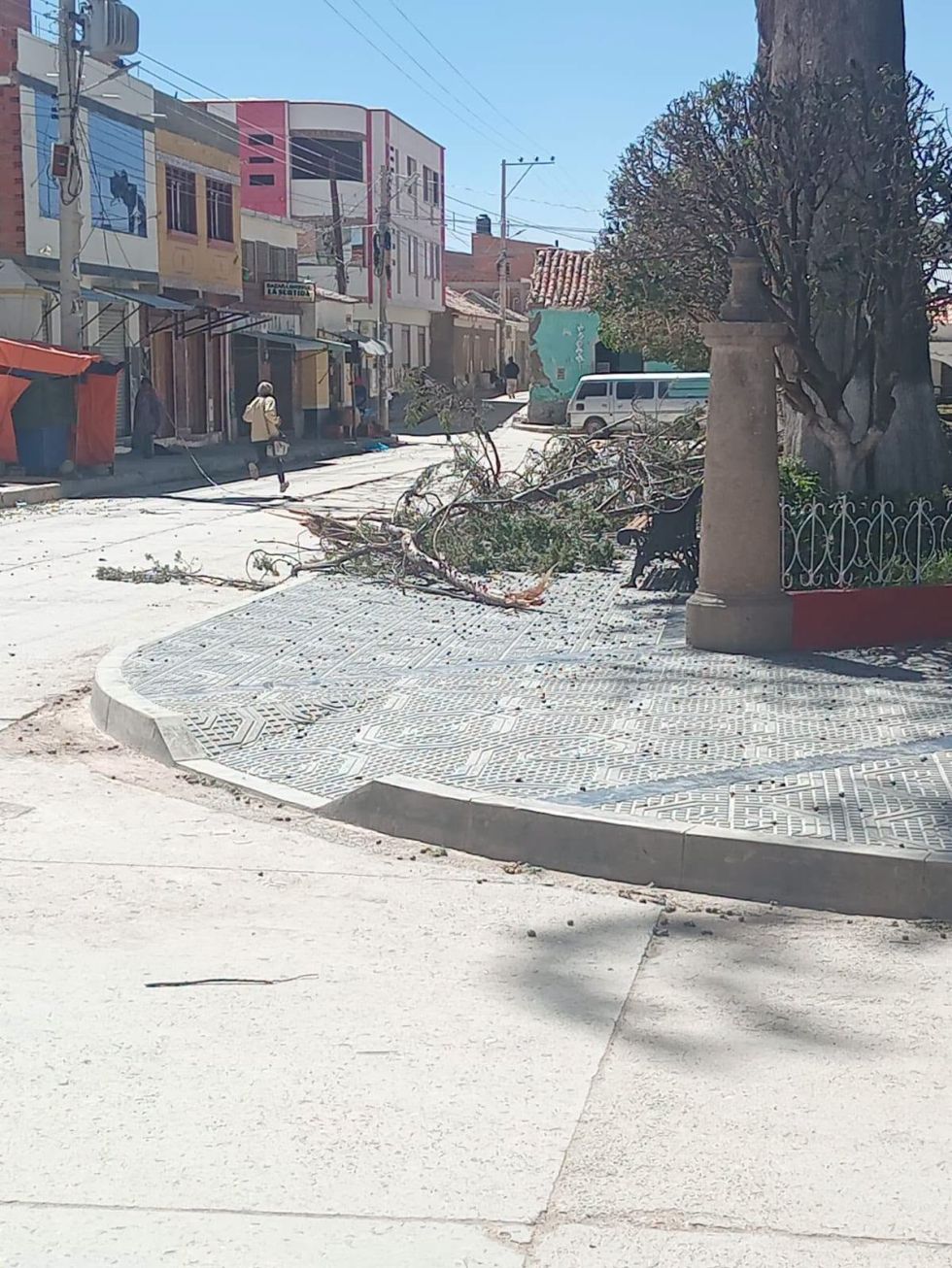 Se reportó caída de árboles, techos arrancados, vehículos dañados, además de muros caídos.