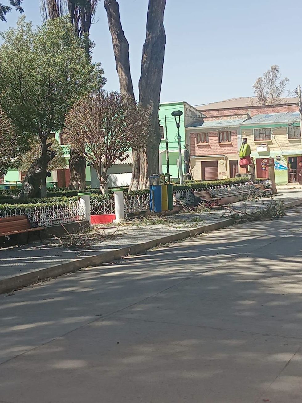Se reportó caída de árboles, techos arrancados, vehículos dañados, además de muros caídos.
