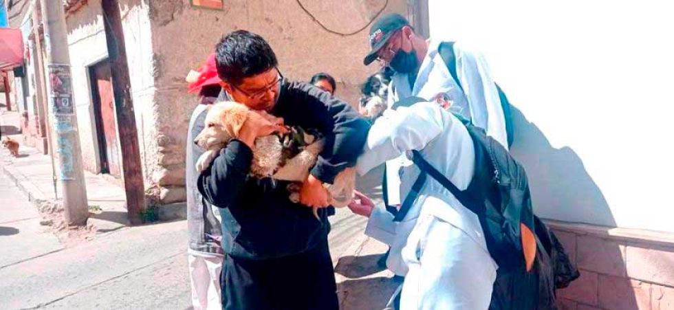 Sedes reporta 1.203 personas mordidas por perros a la fecha