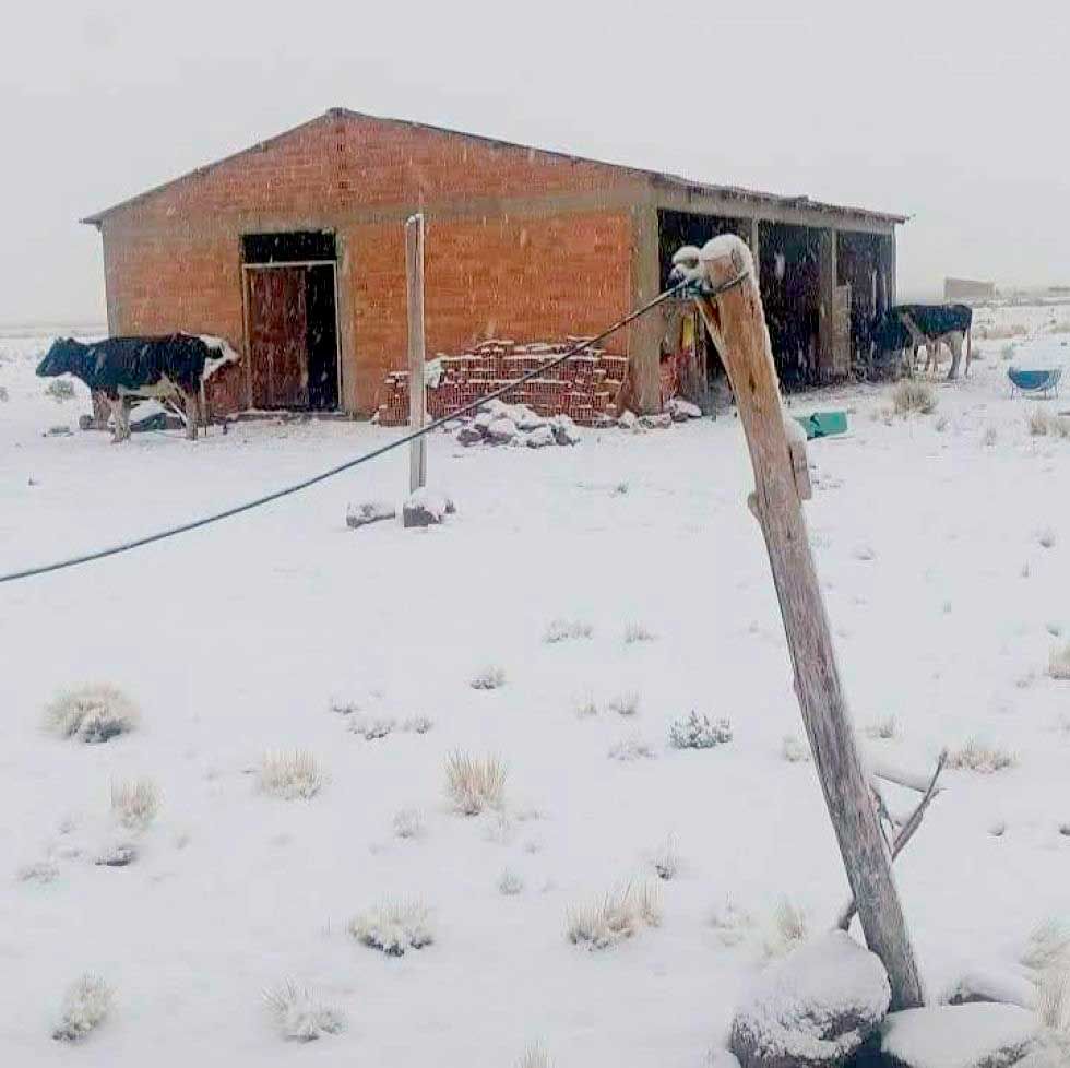 Senamhi pronostica el retorno de nevadas a comunidades de Potosí