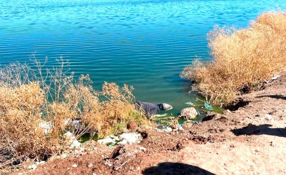 Niño de 11 años encuentra un cuerpo sin vida flotando en los bateones
