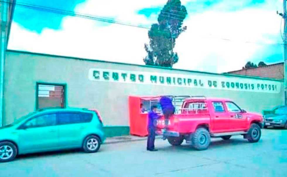 Zoonosis intensifica campaña de esterilización de canes