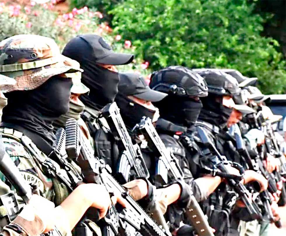 ‘Equipo policial de élite’ controlará las fronteras